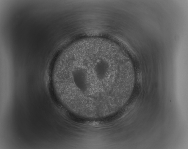X0000102300687200808221421