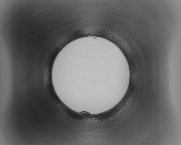 X0000102300689200808221421