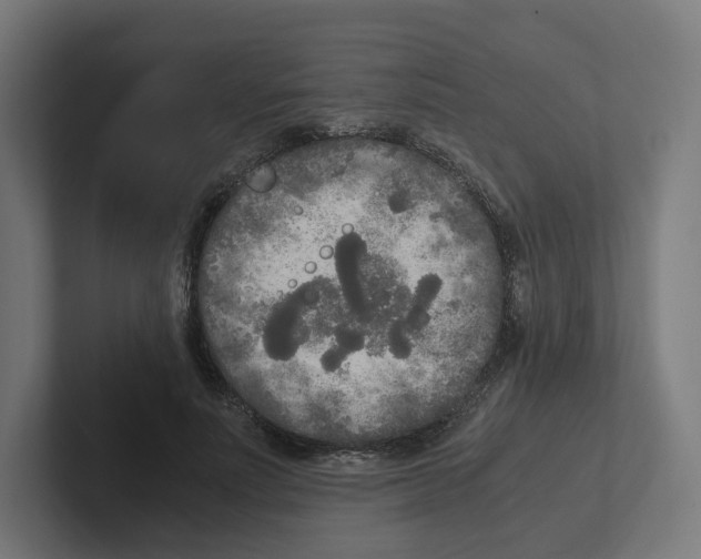 X0000102300691200808221421
