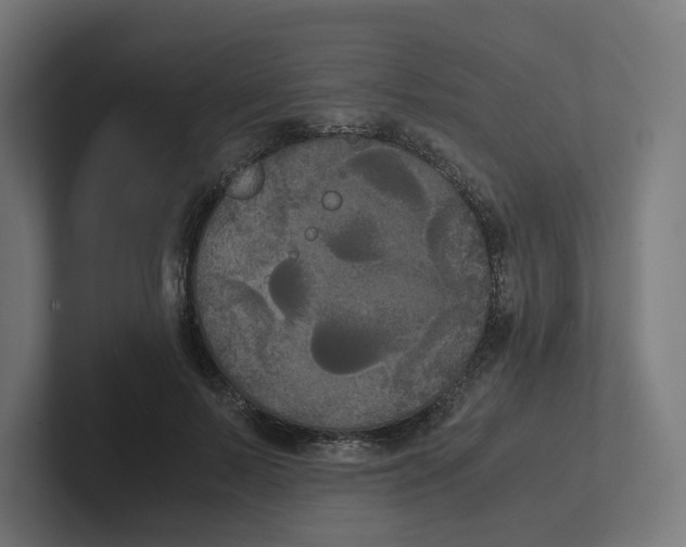 X0000102300695200808221421