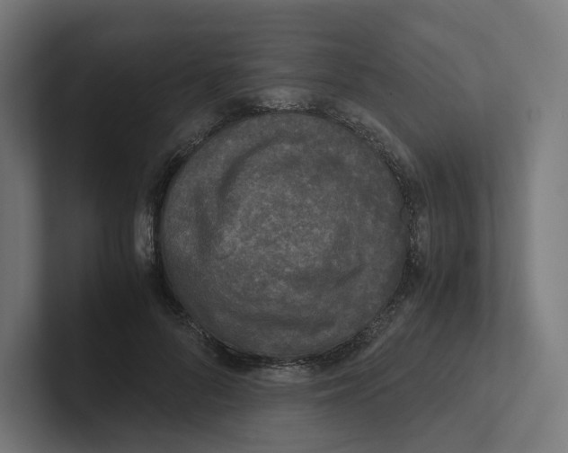 X0000102300696200808221421