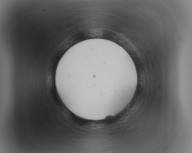 X0000102300697200808221421