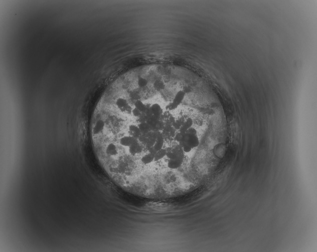 X0000102300699200808221421