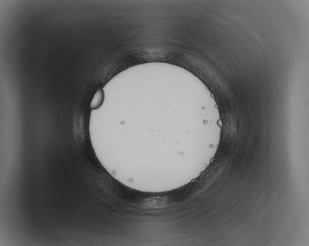 X0000102300700200808221421