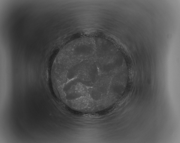 X0000102300703200808221421