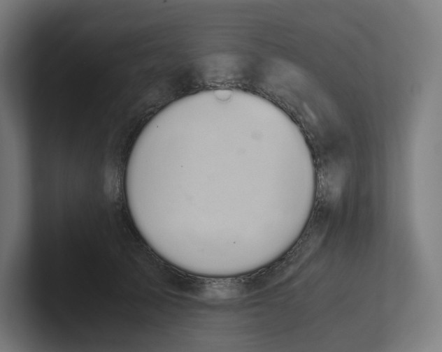 X0000102300705200808221421