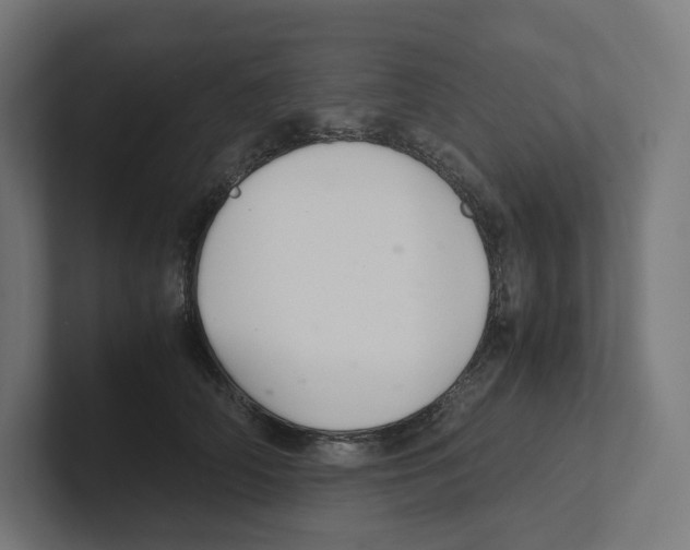 X0000102300706200808221421