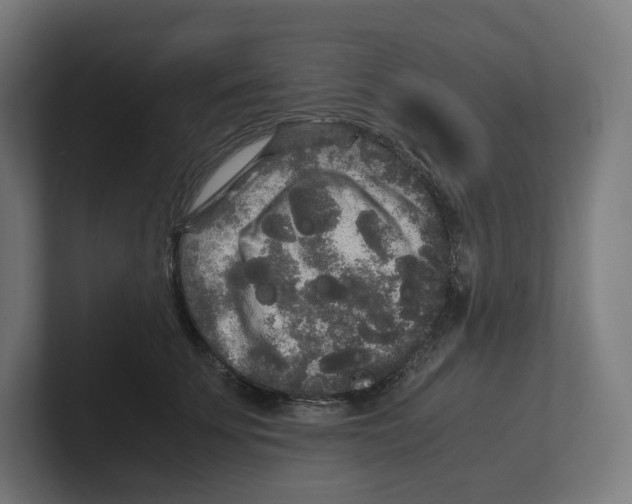 X0000102300707200808221421