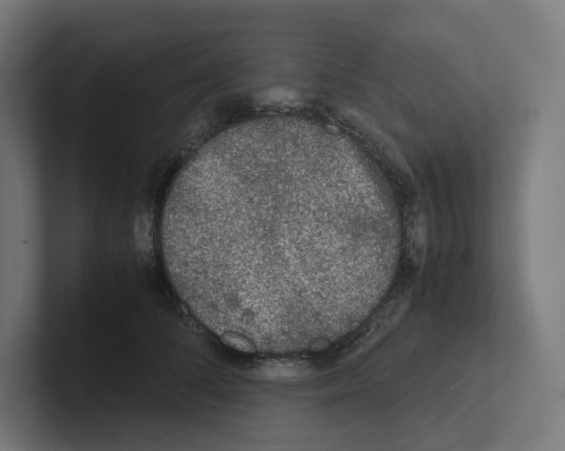 X0000102300708200808221421