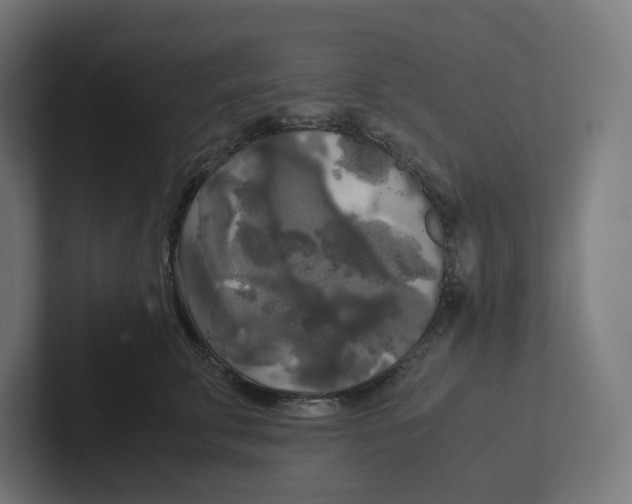 X0000102300711200808221421