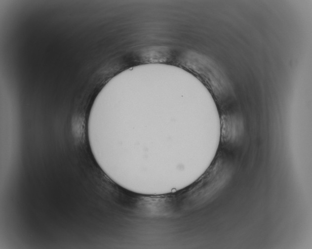 X0000102300713200808221421