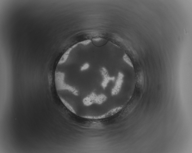 X0000102300715200808221421