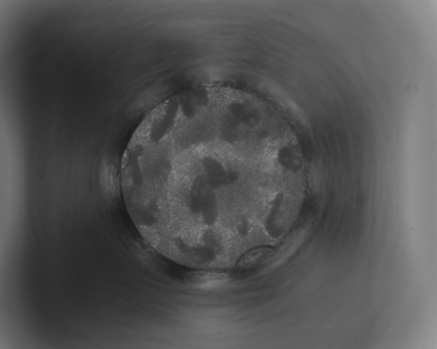 X0000102300719200808221421