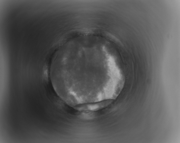 X0000102300720200808221421