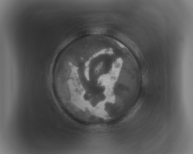 X0000102300721200808221420