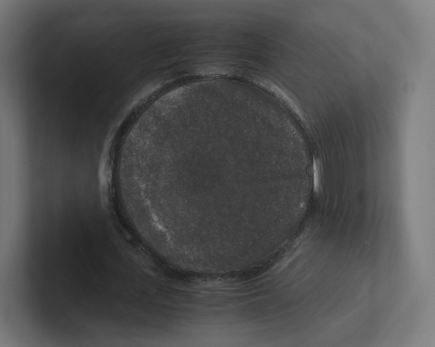X0000102300723200808221420