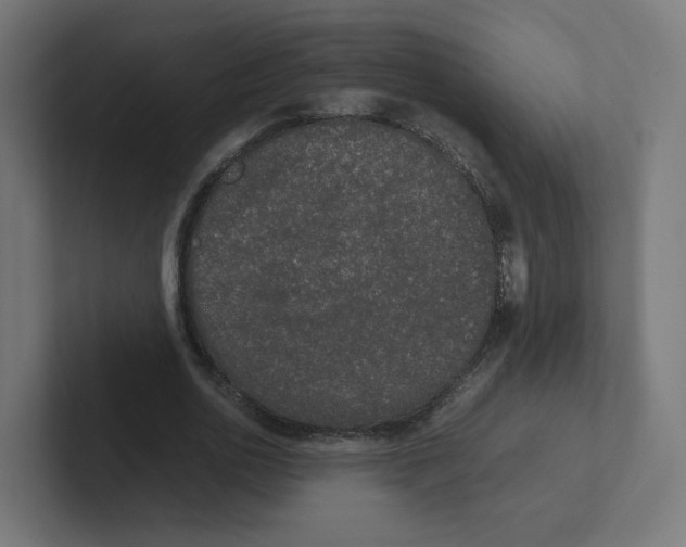 X0000102300726200808221420