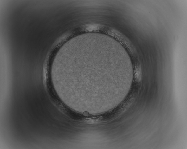 X0000102300732200808221420