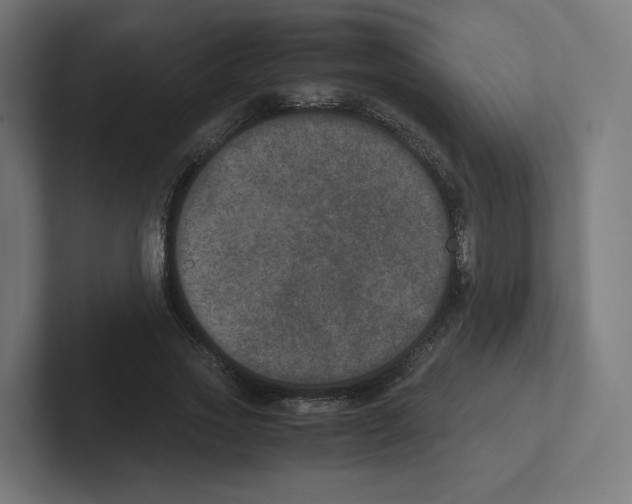 X0000102300733200808221420