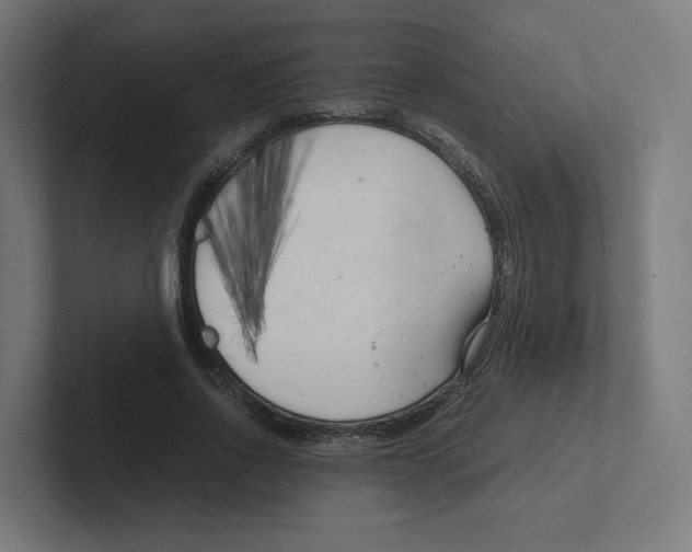 X0000102300734200808221420