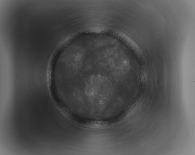 X0000102300736200808221420