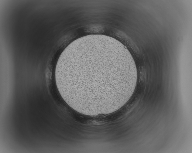 X0000102300739200808221420