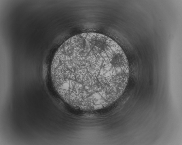 X0000102300742200808221420