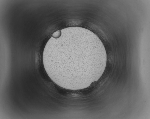 X0000102300743200808221420