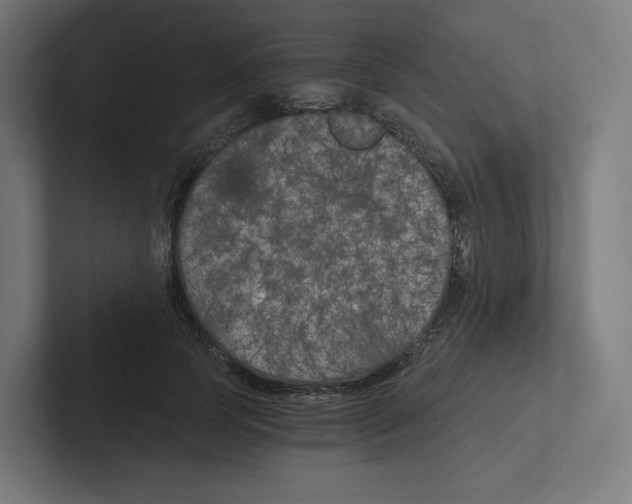 X0000102300745200808221420