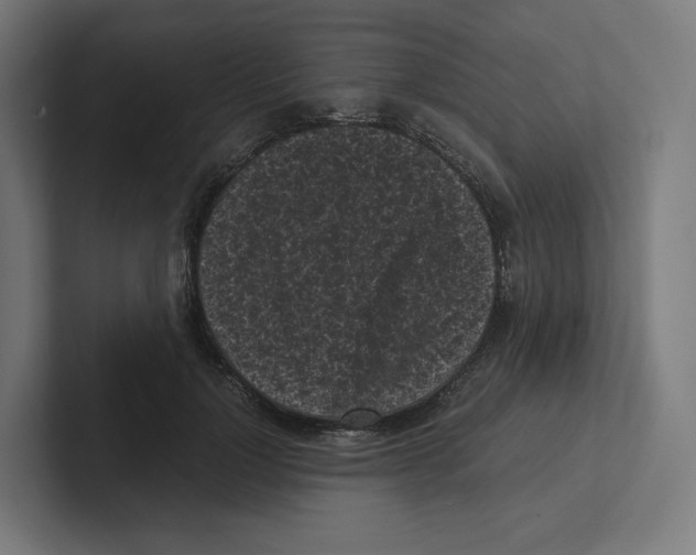 X0000102300748200808221420