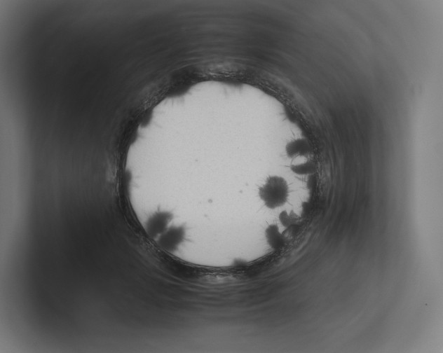X0000102300749200808221420