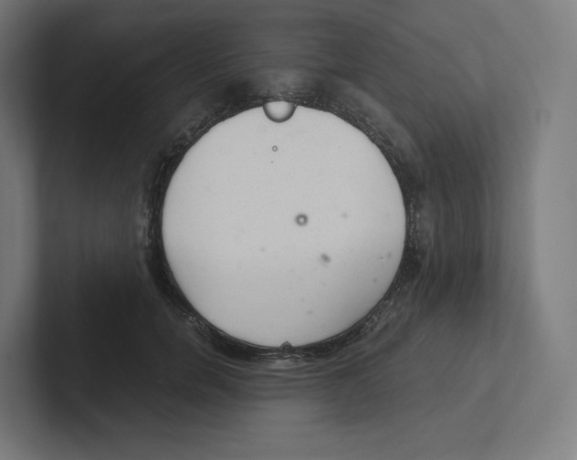 X0000102300750200808221420