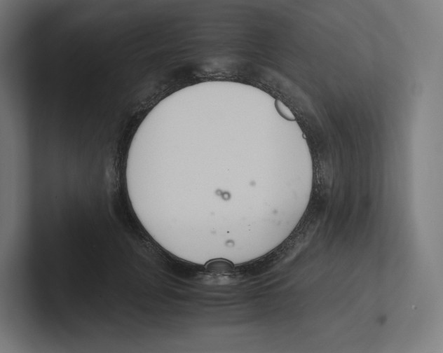 X0000102300751200808221420