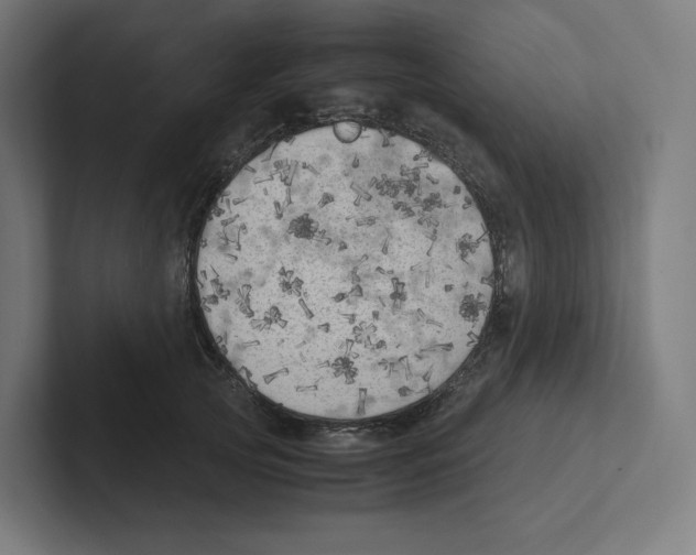 X0000102300753200808221420
