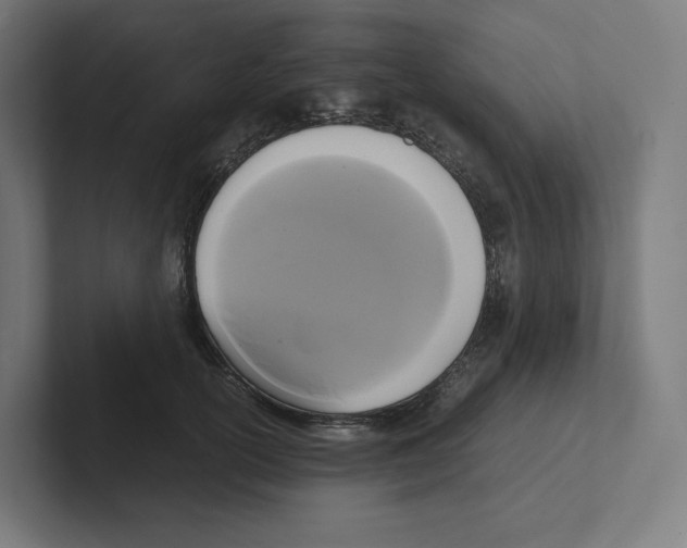 X0000102300754200808221420