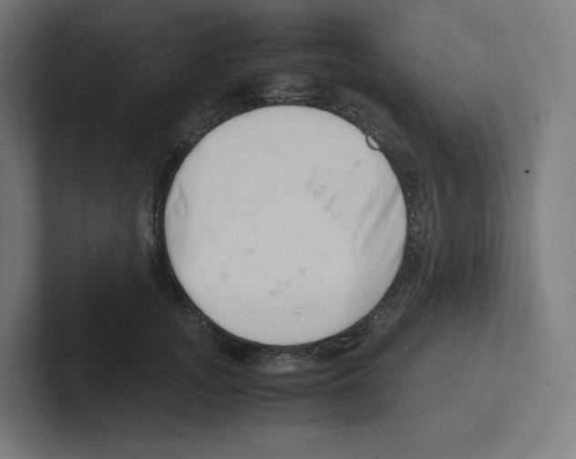 X0000102300755200808221420