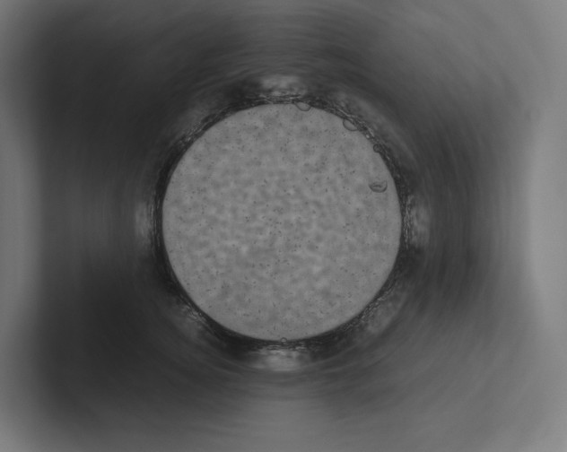 X0000102300756200808221420