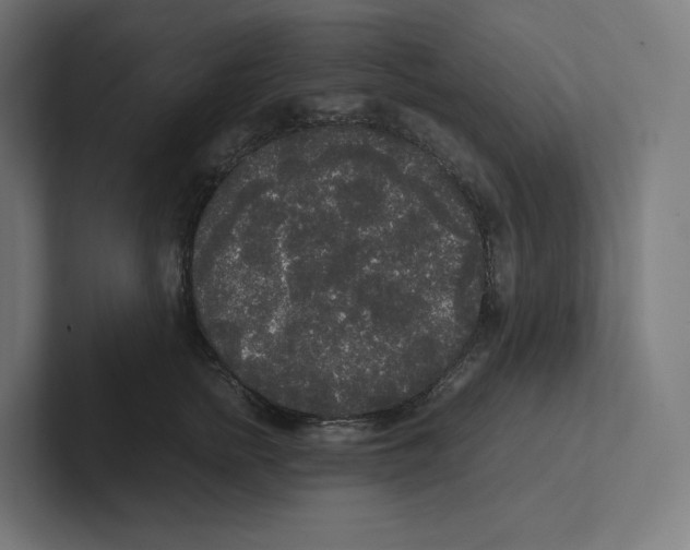 X0000102300758200808221420