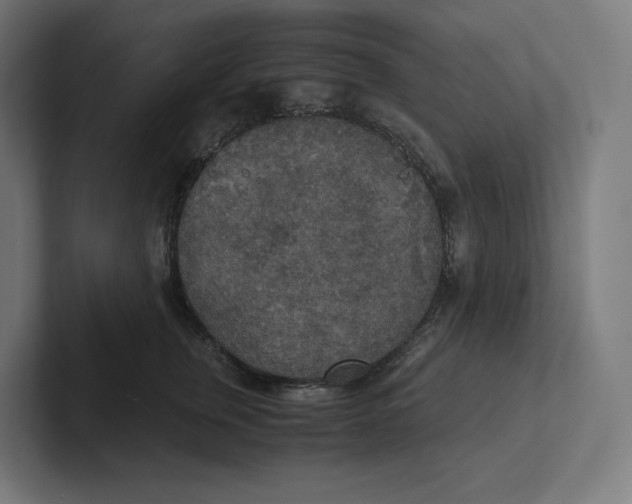 X0000102300759200808221420