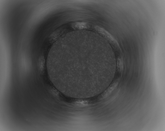 X0000102300760200808221421