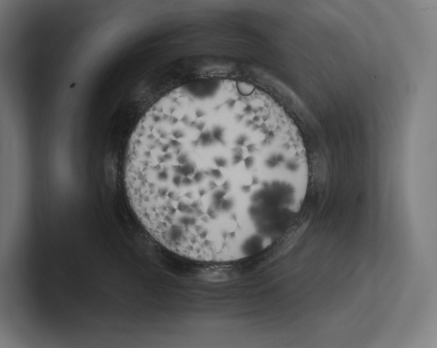 X0000102300761200808221421