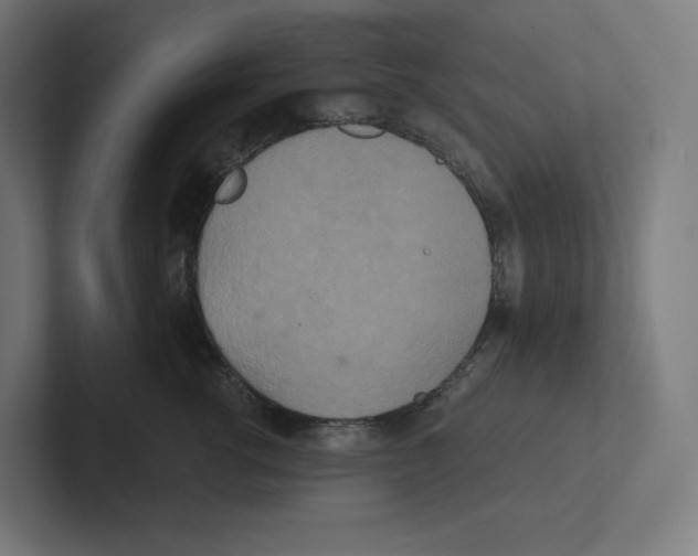 X0000102300762200808221421