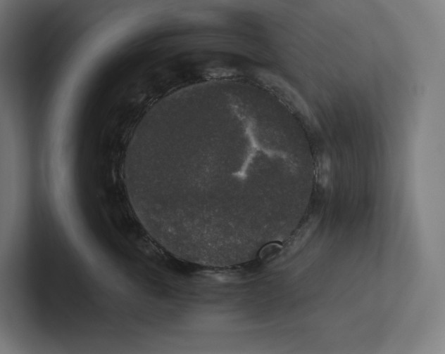 X0000102300763200808221421