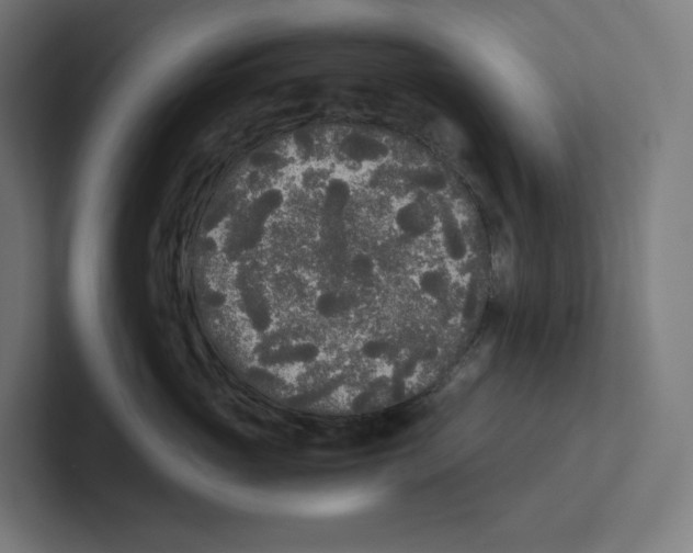 X0000102300765200808221421