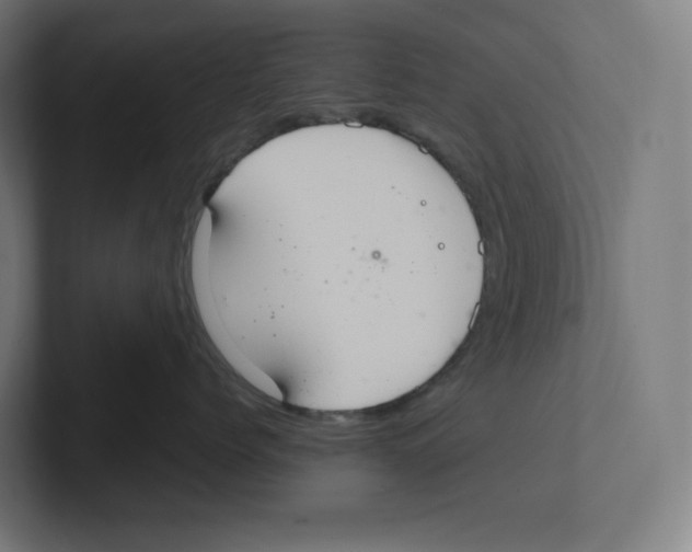X0000102300768200808221421