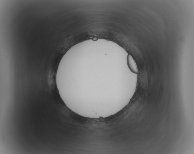 X0000102300770200808221420