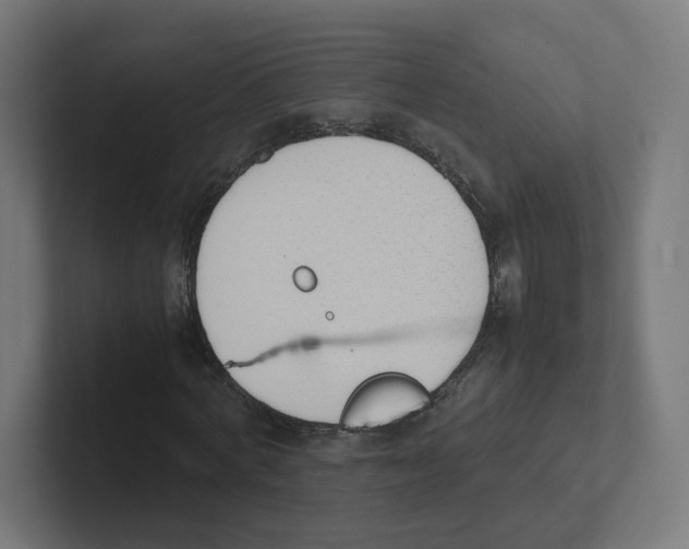 X0000102300772200808221420