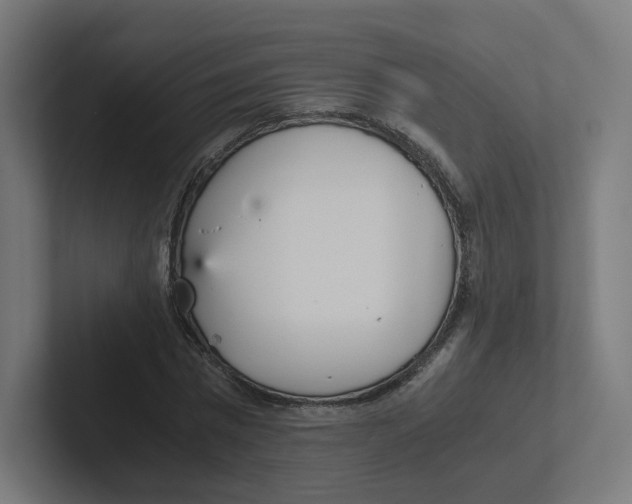 X0000102300777200808221420