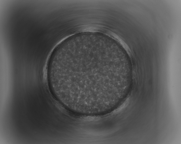 X0000102300779200808221420