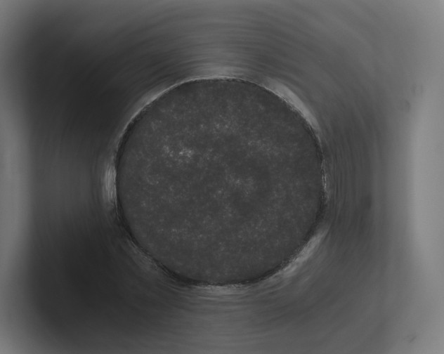 X0000102300781200808221420